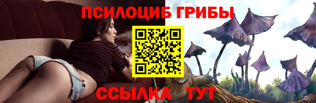 Галлюциногенные грибы мицелий  Вход с VPN  Псилоцибиновые грибы Psilocybine cubensis  цены наркотик  Качканар 